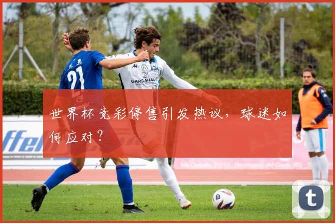 世界杯竞彩停售引发热议，球迷如何应对？