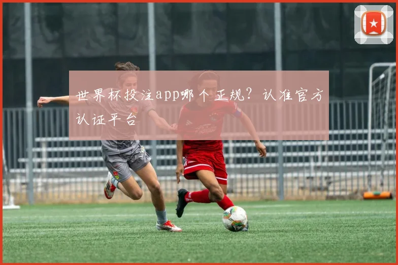 世界杯投注app哪个正规？认准官方认证平台