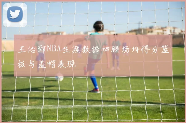 王治郅NBA生涯数据回顾场均得分篮板与盖帽表现