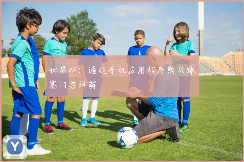世界杯:通过手机应用程序购买球赛门票详解