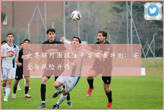 世界杯外围投注平台深度评测：安全与风险并存？