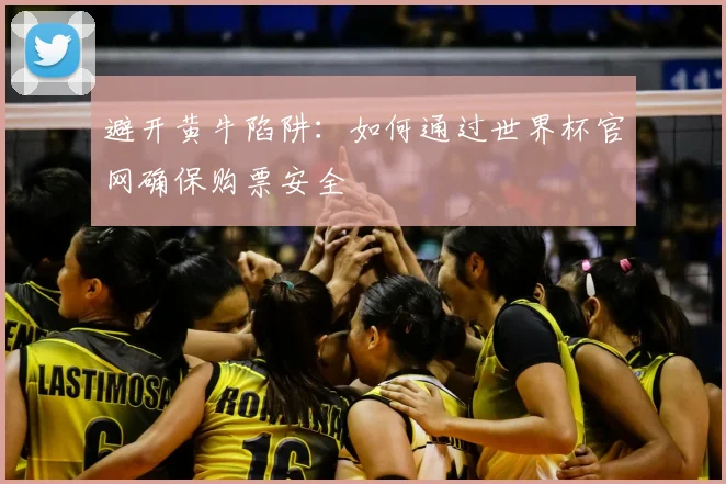 避开黄牛陷阱：如何通过世界杯官网确保购票安全