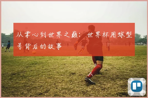 从掌心到世界之巅：世界杯用球型号背后的故事