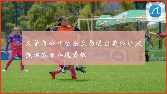 火箭与公牛达成交易送出奥拉迪波换回威尔和选秀权