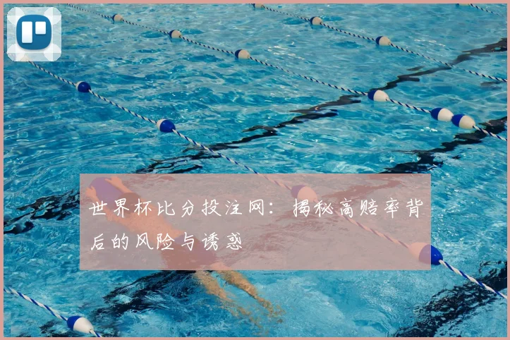 世界杯比分投注网：揭秘高赔率背后的风险与诱惑