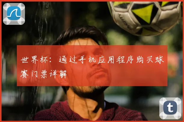 世界杯：通过手机应用程序购买球赛门票详解