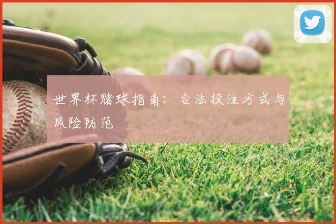 世界杯赌球指南：合法投注方式与风险防范