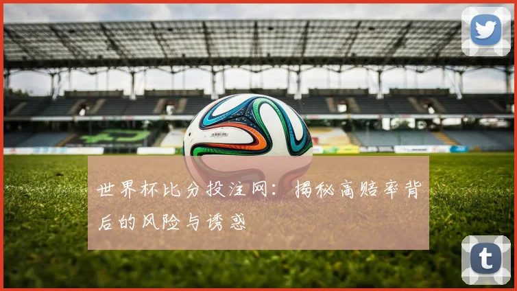 世界杯比分投注网：揭秘高赔率背后的风险与诱惑