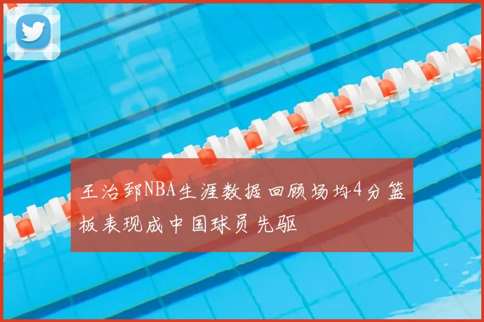 王治郅NBA生涯数据回顾场均4分篮板表现成中国球员先驱